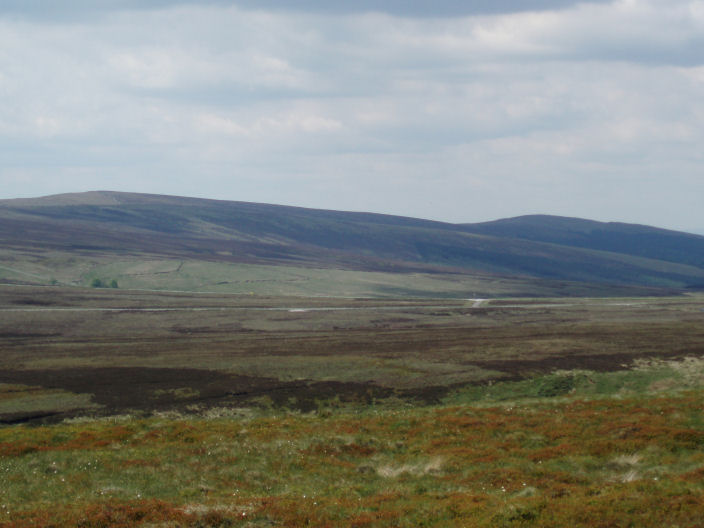 The Tors The Tors